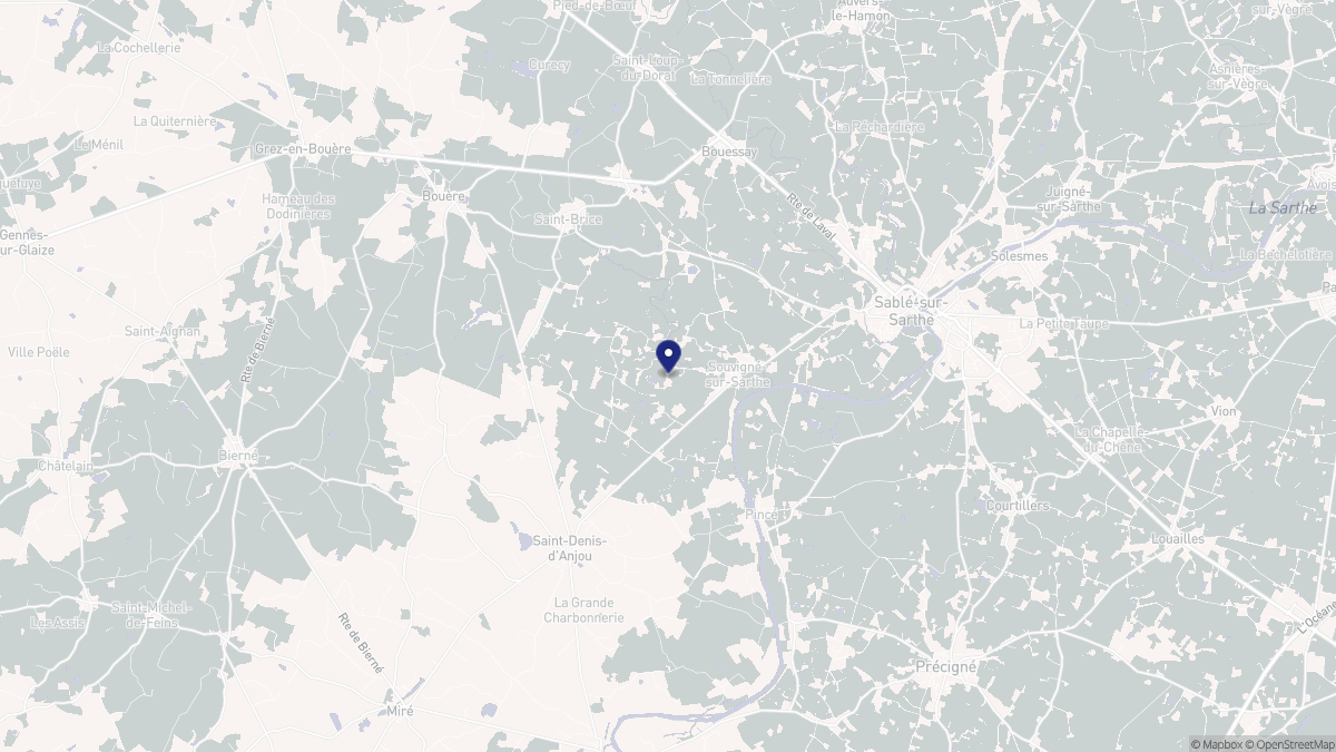 Aperçu cartographique de Souvigné-sur-Sarthe, centré sur la commune