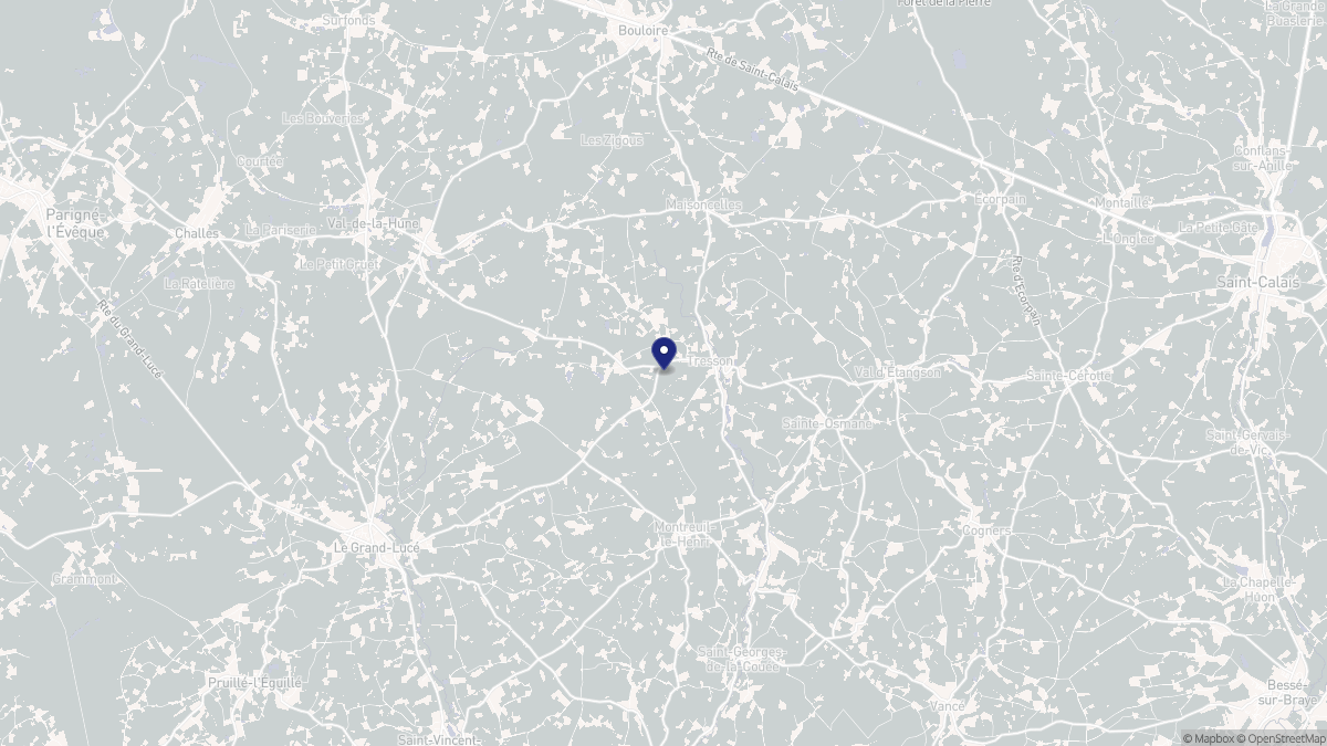 Aperçu cartographique de Tresson, centré sur la commune