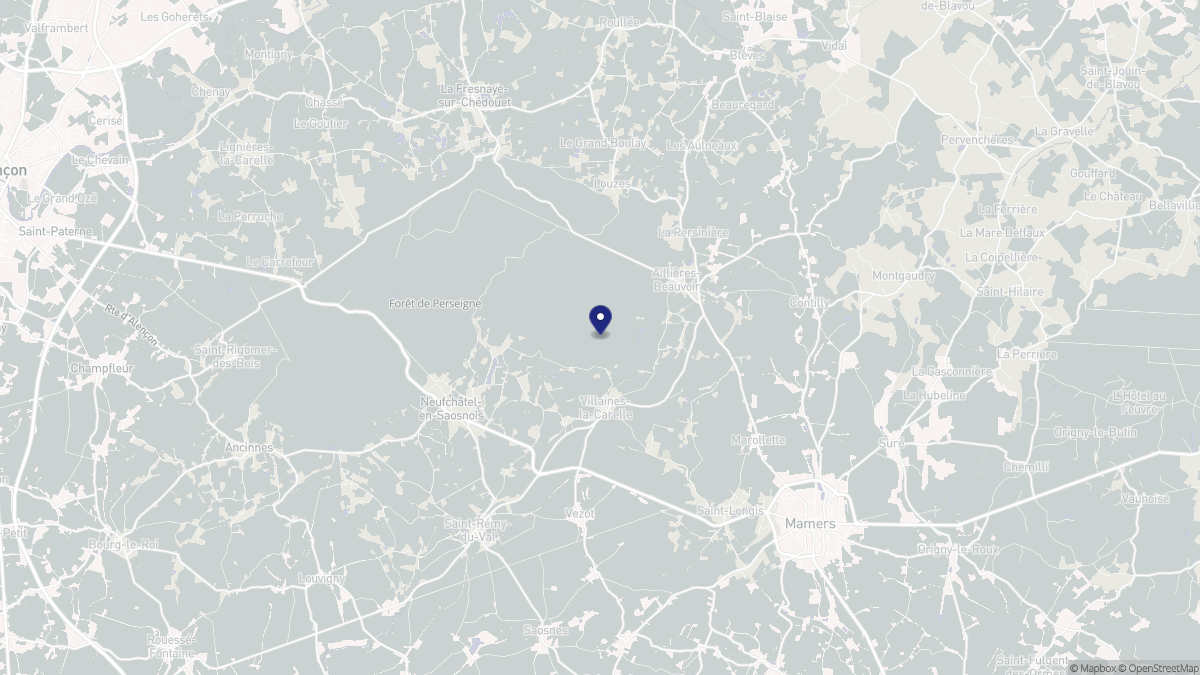 Aperçu cartographique de Villaines-la-Carelle, centré sur la commune
