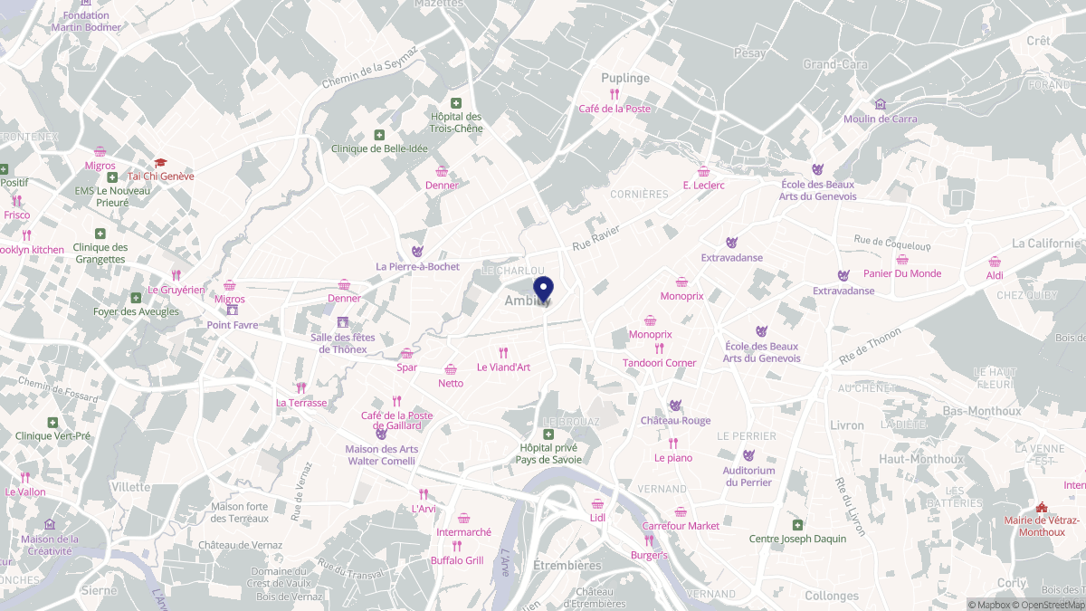 Aperçu cartographique de Ambilly, centré sur la commune