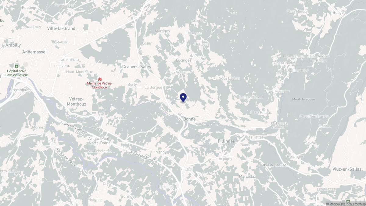 Aperçu cartographique de Bonne, centré sur la commune