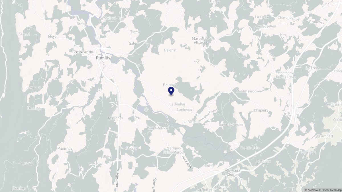 Aperçu cartographique de Boussy, centré sur la commune