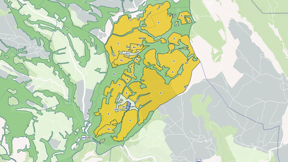 Aperçu cartographique de Chessenaz, centré sur la commune
