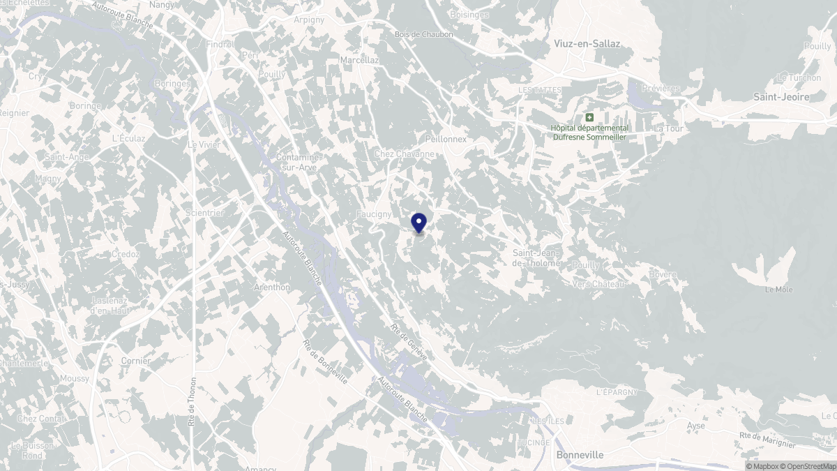 Aperçu cartographique de Faucigny, centré sur la commune