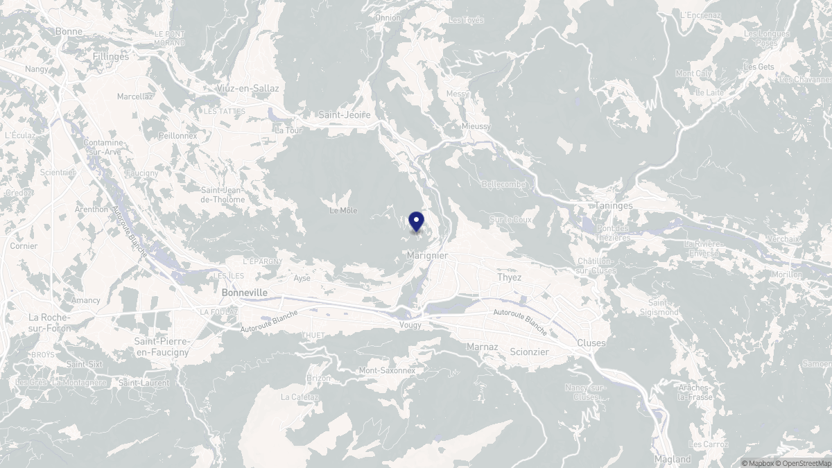 Aperçu cartographique de Marignier, centré sur la commune