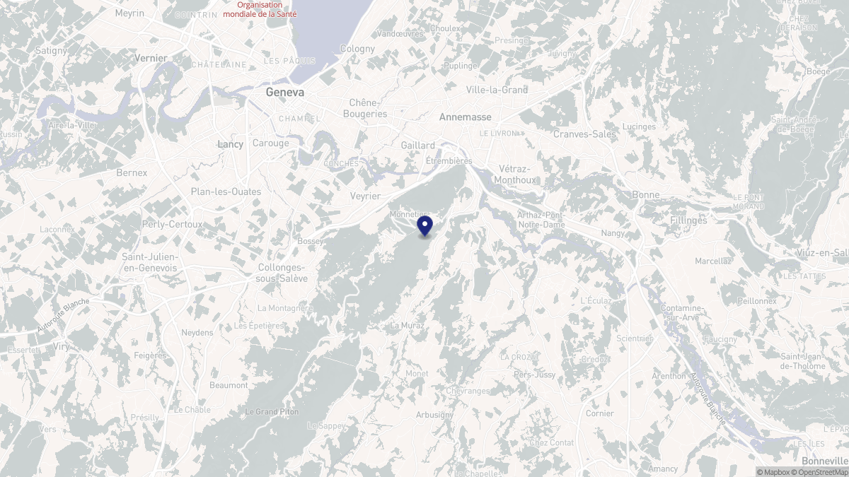 Aperçu cartographique de Monnetier-Mornex, centré sur la commune