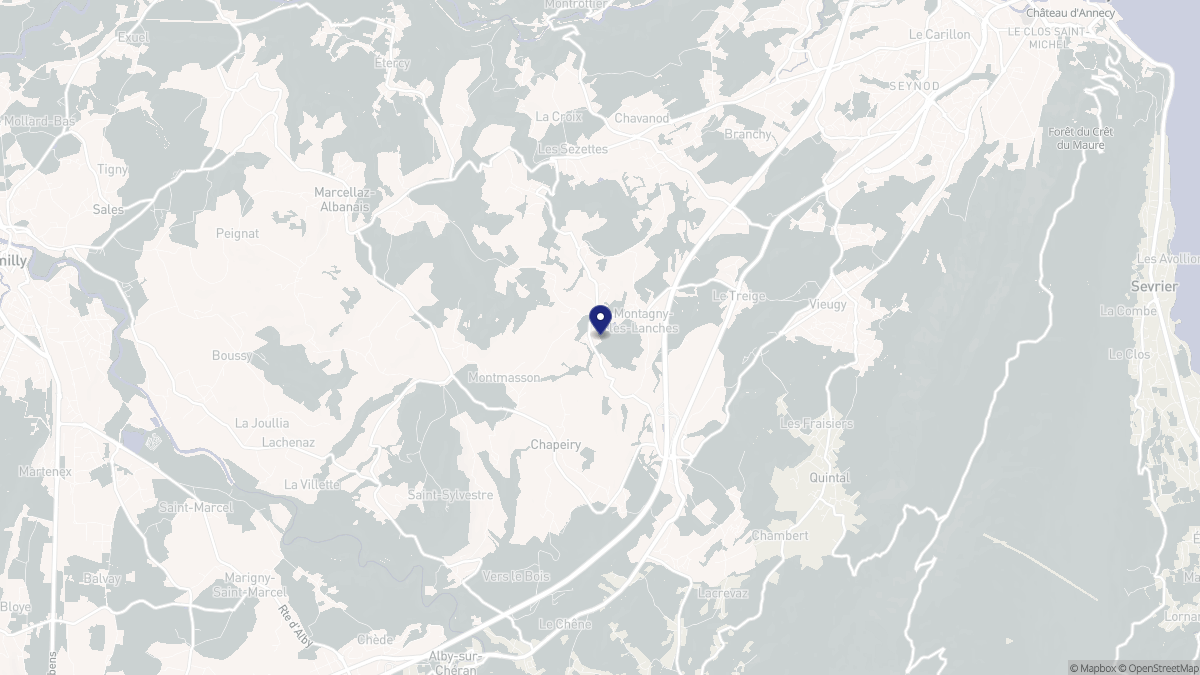 Aperçu cartographique de Montagny-les-Lanches, centré sur la commune