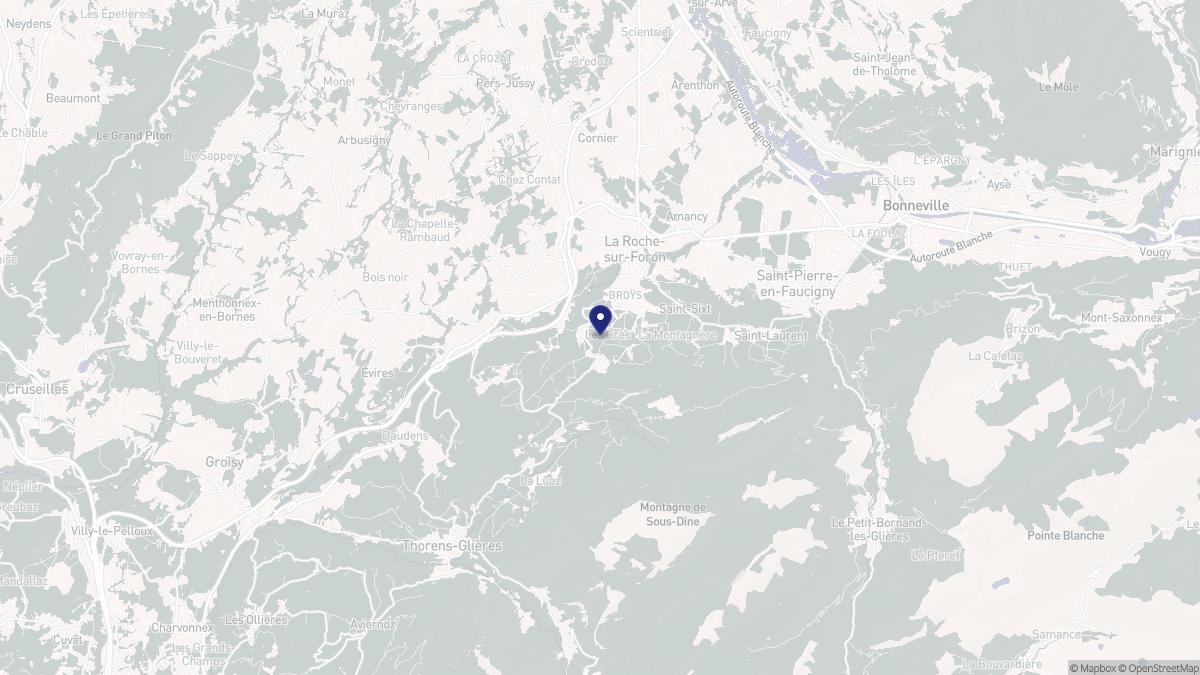 Aperçu cartographique de La Roche-sur-Foron, centré sur la commune