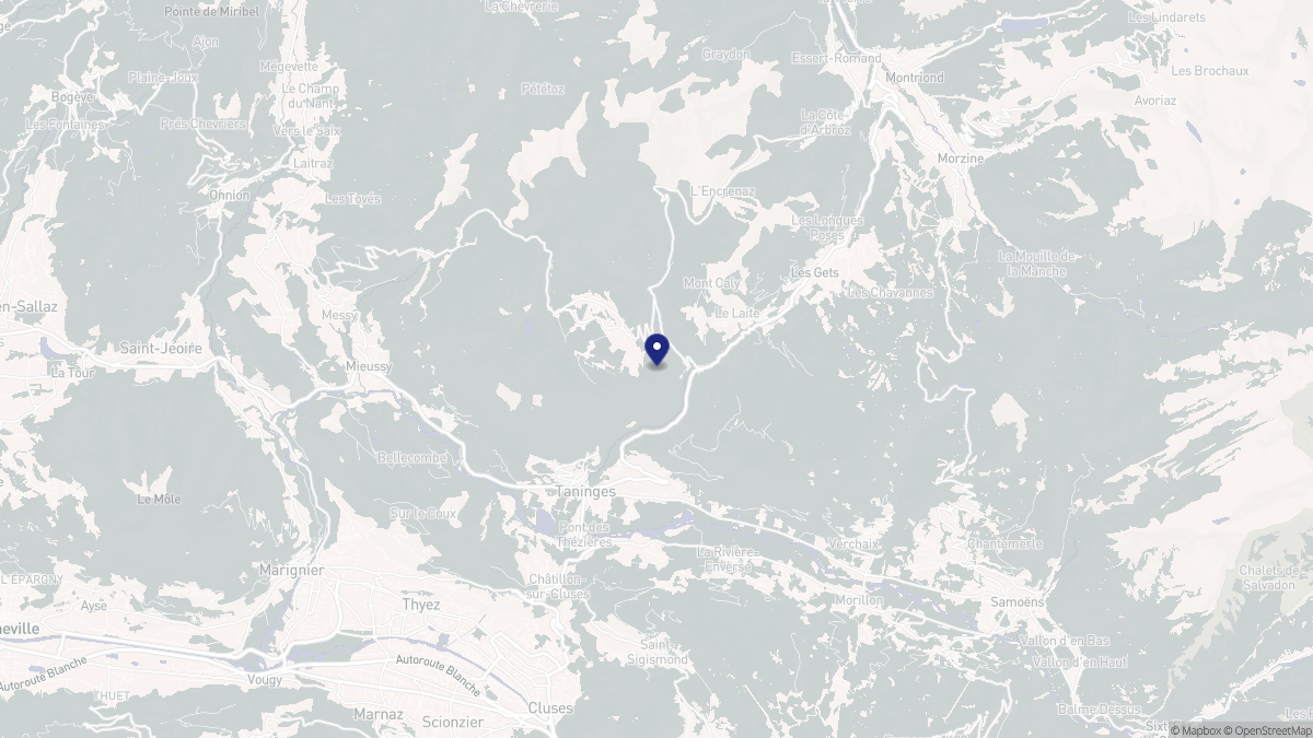Aperçu cartographique de Taninges, centré sur la commune