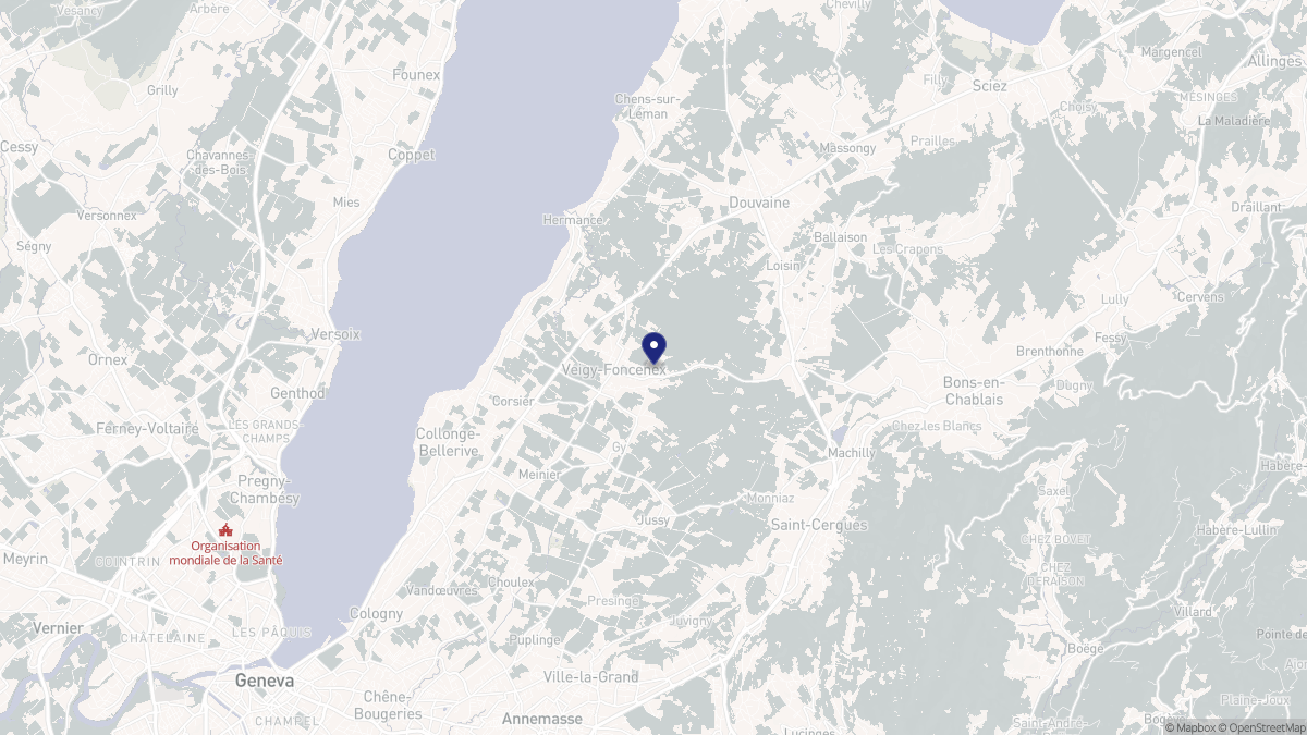 Aperçu cartographique de Veigy-Foncenex, centré sur la commune