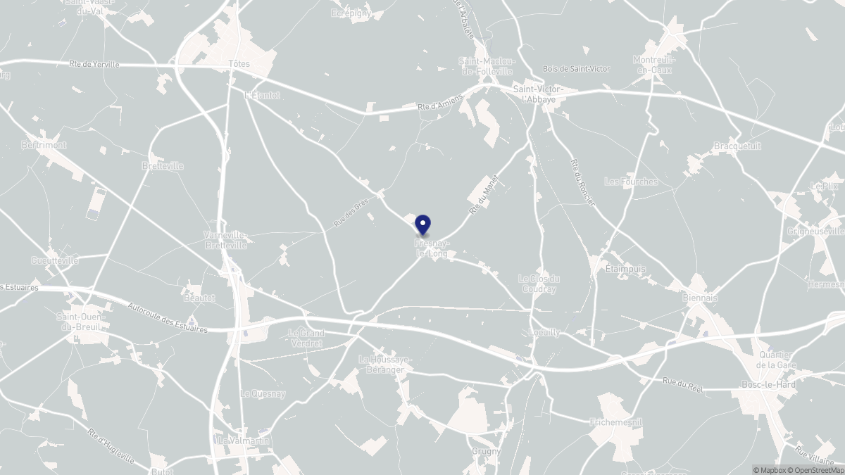 Aperçu cartographique de Fresnay-le-Long, centré sur la commune