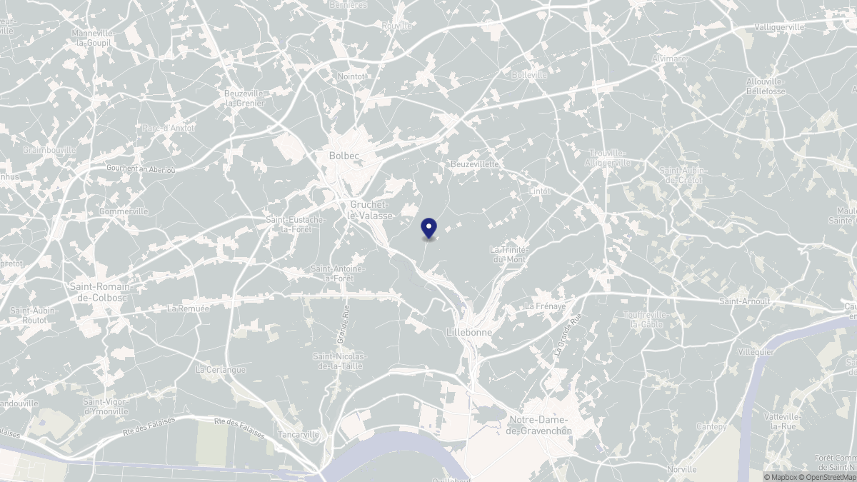 Aperçu cartographique de Gruchet-le-Valasse, centré sur la commune
