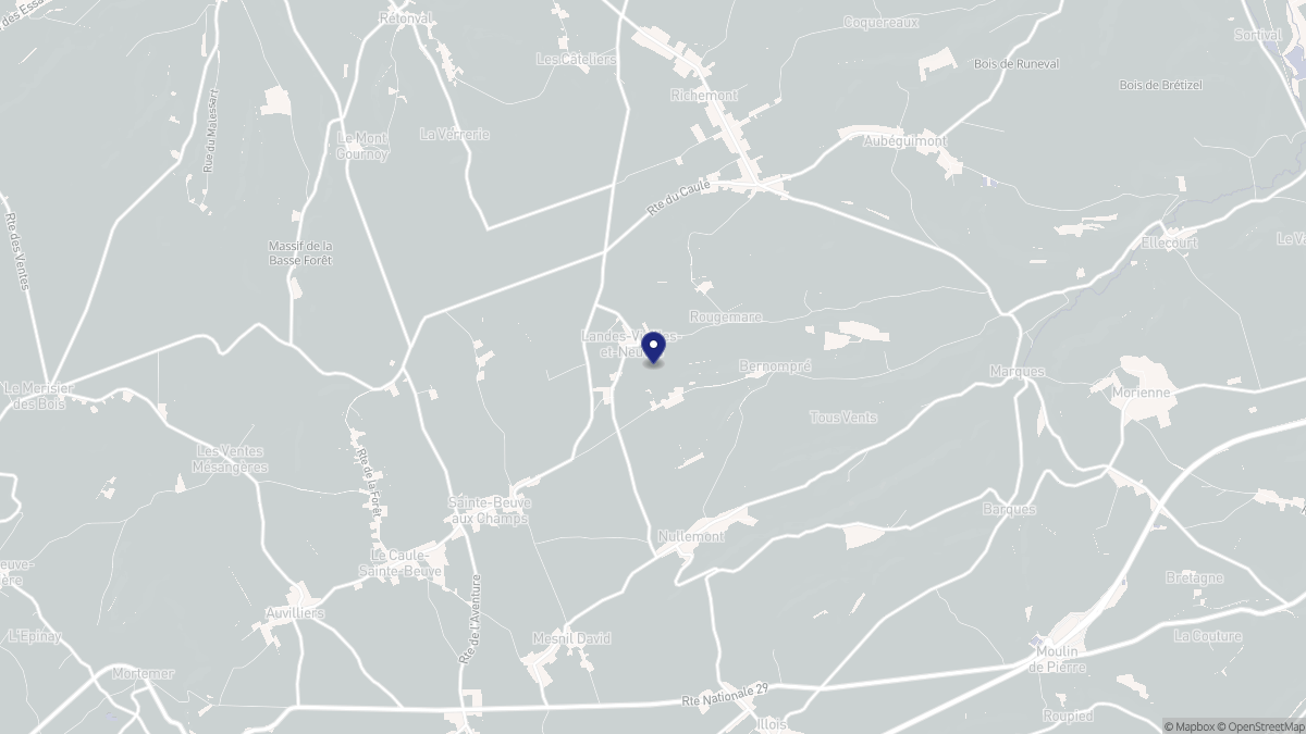 Aperçu cartographique de Landes-Vieilles-et-Neuves, centré sur la commune