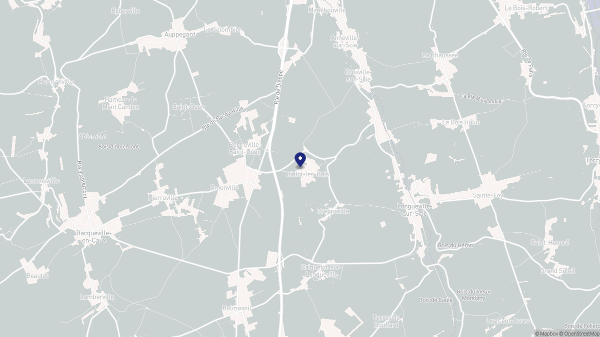 Aperçu cartographique de Lintot-les-Bois, centré sur la commune