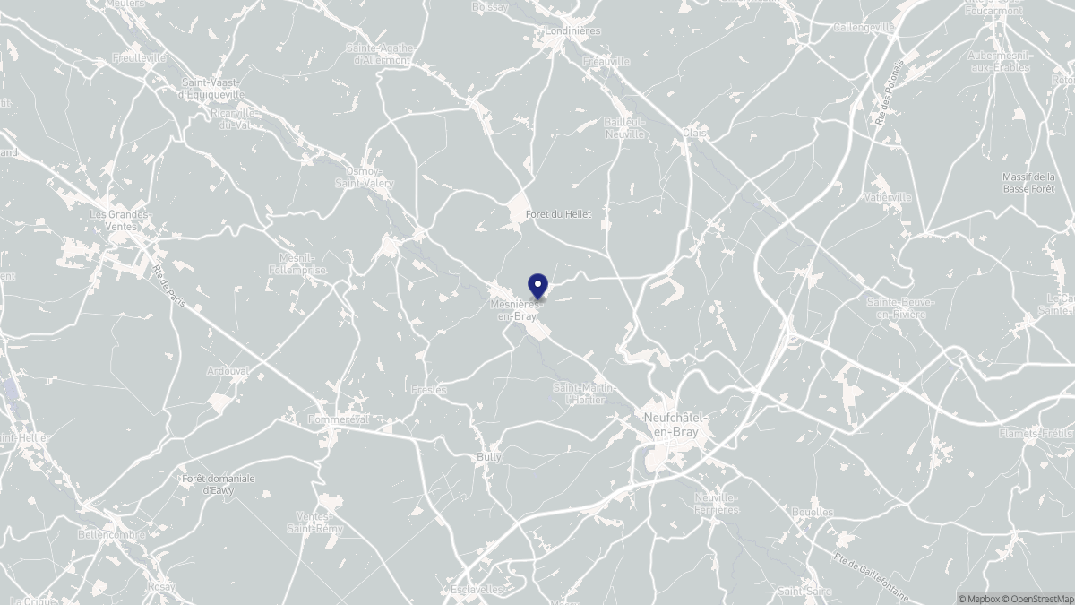Aperçu cartographique de Mesnières-en-Bray, centré sur la commune
