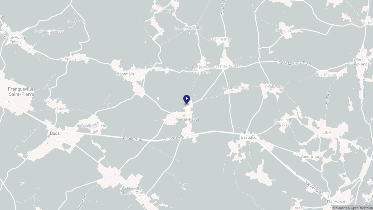 Aperçu cartographique de Mesnil-Raoul, centré sur la commune
