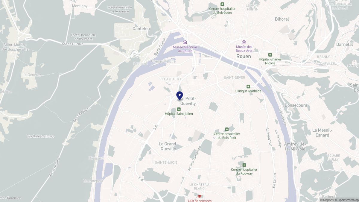 Aperçu cartographique de Le Petit-Quevilly, centré sur la commune