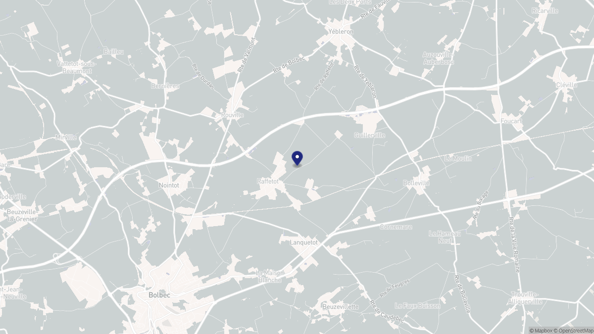 Aperçu cartographique de Raffetot, centré sur la commune