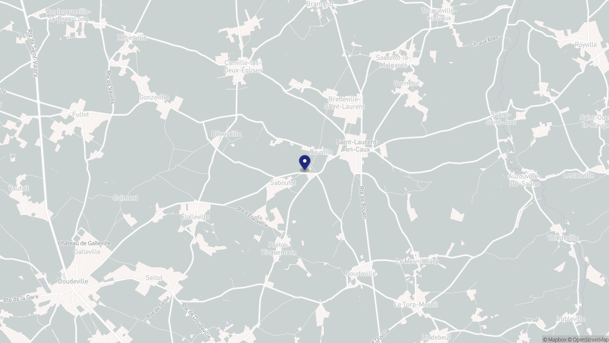Aperçu cartographique de Reuville, centré sur la commune