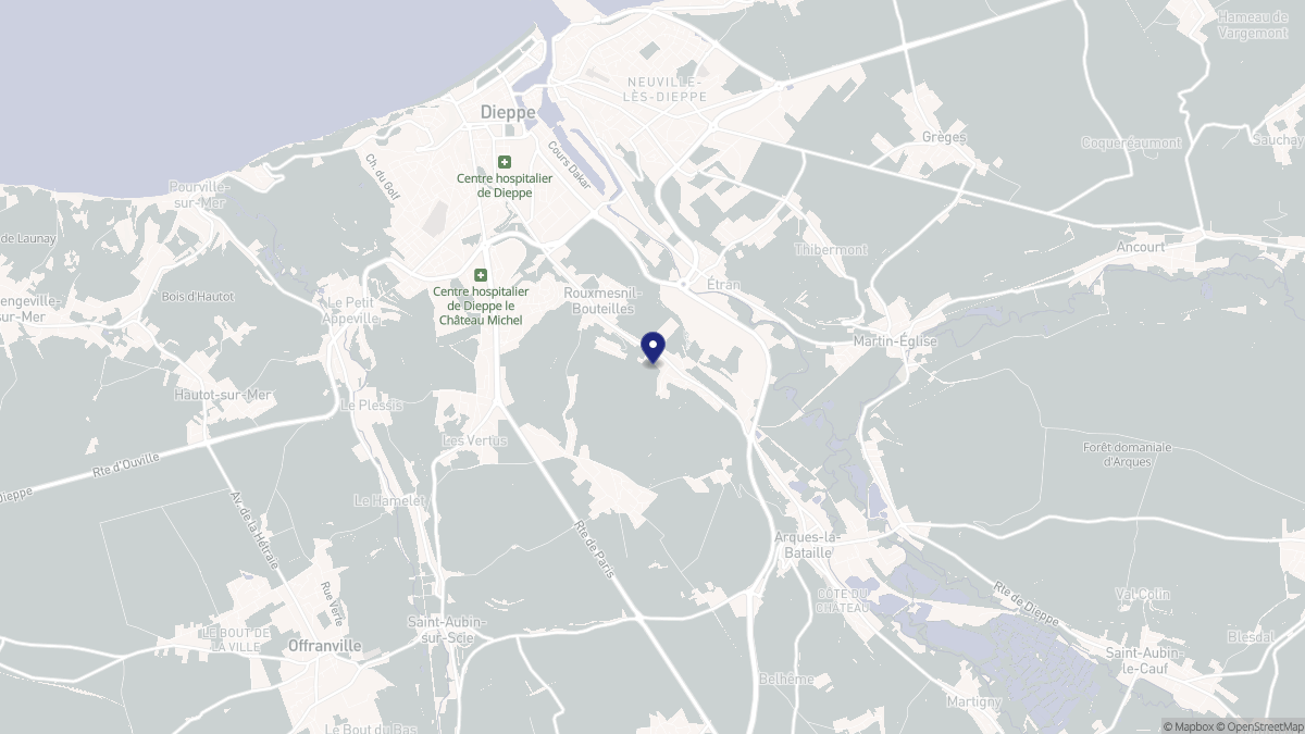 Aperçu cartographique de Rouxmesnil-Bouteilles, centré sur la commune