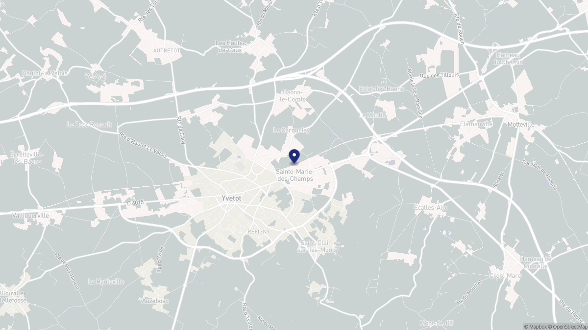Aperçu cartographique de Sainte-Marie-des-Champs, centré sur la commune