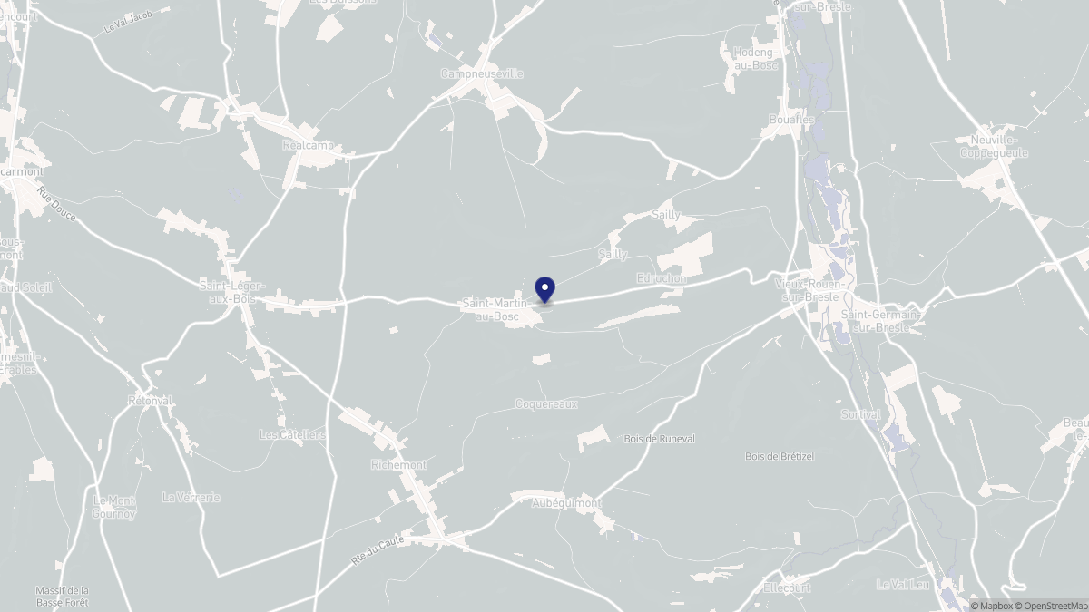 Aperçu cartographique de Saint-Martin-au-Bosc, centré sur la commune