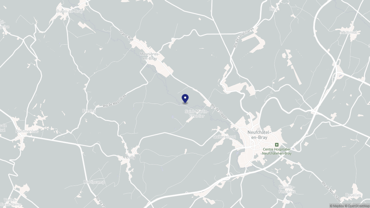 Aperçu cartographique de Saint-Martin-l'Hortier, centré sur la commune
