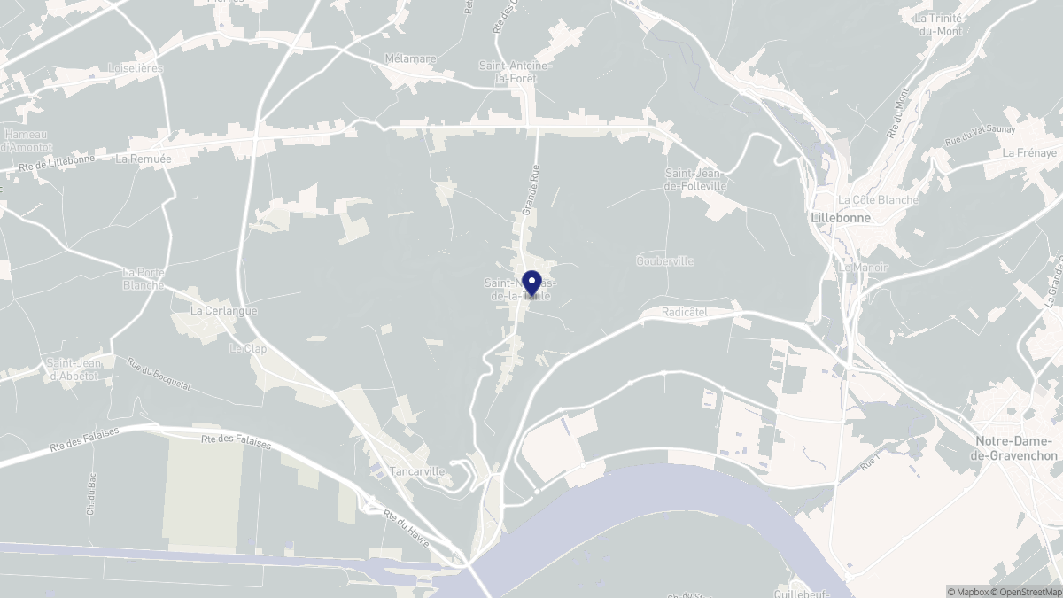 Aperçu cartographique de Saint-Nicolas-de-la-Taille, centré sur la commune