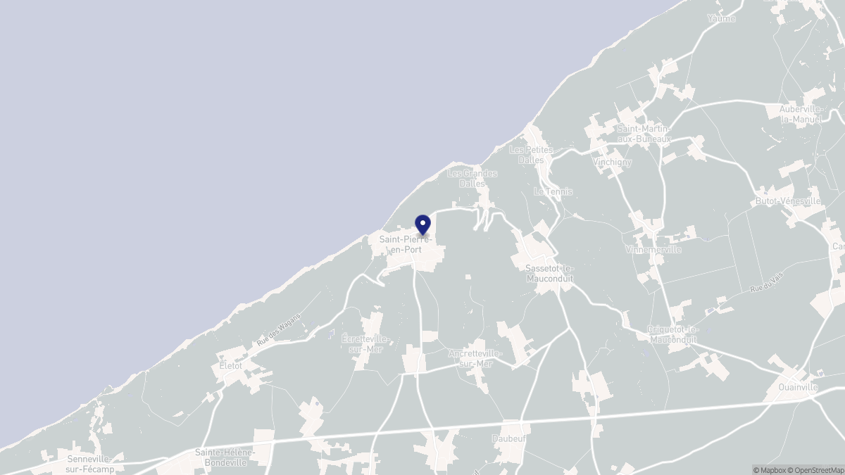 Aperçu cartographique de Saint-Pierre-en-Port, centré sur la commune