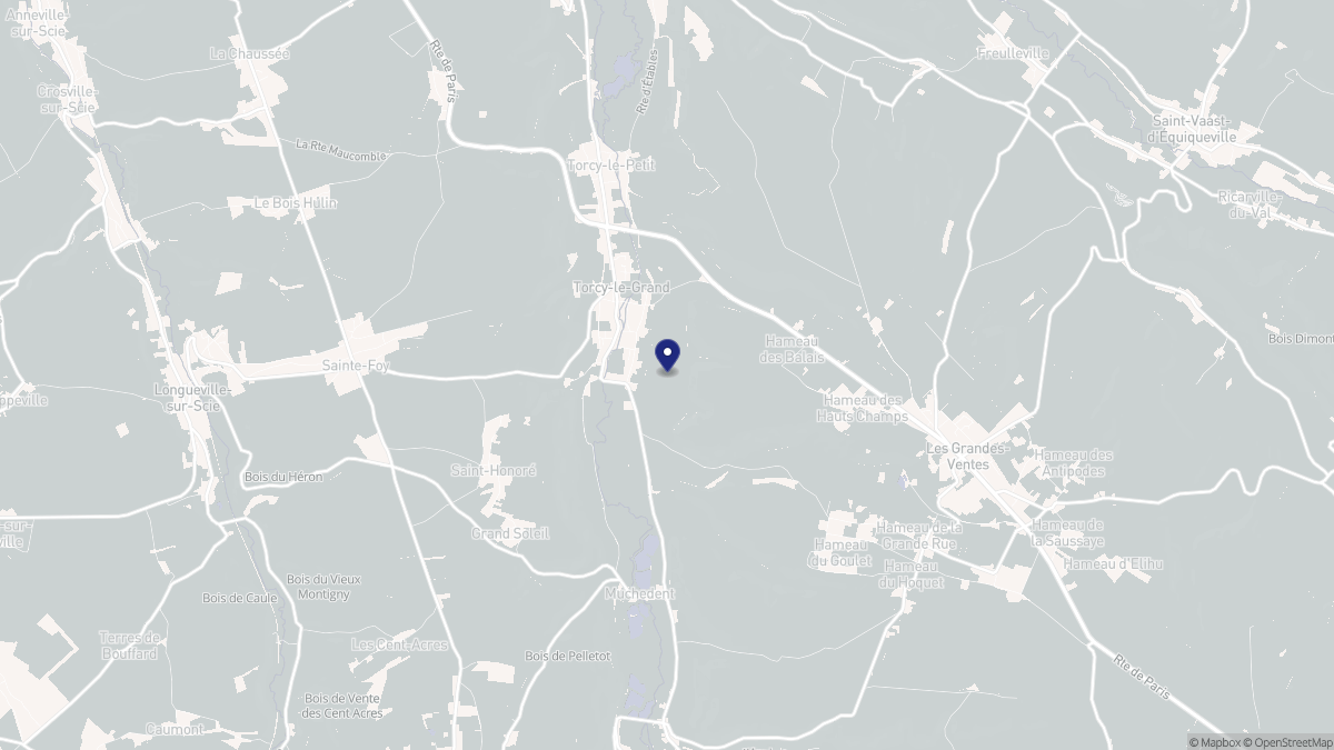 Aperçu cartographique de Torcy-le-Grand, centré sur la commune