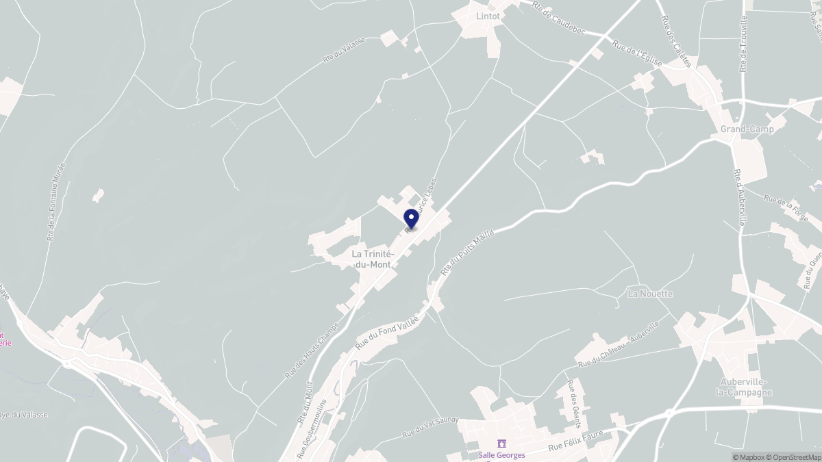 Aperçu cartographique de La Trinité-du-Mont, centré sur la commune