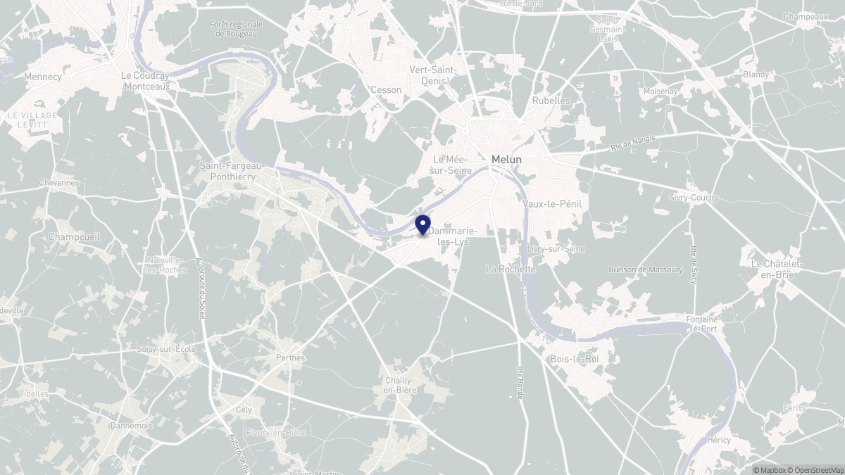 Aperçu cartographique de Dammarie-les-Lys, centré sur la commune