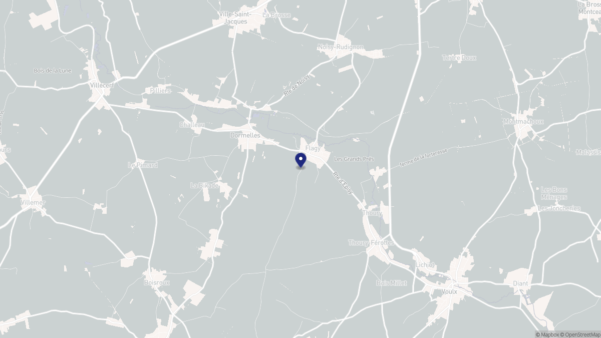 Aperçu cartographique de Flagy, centré sur la commune