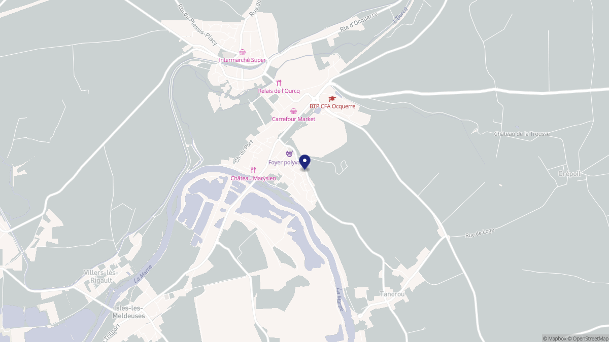 Aperçu cartographique de Mary-sur-Marne, centré sur la commune