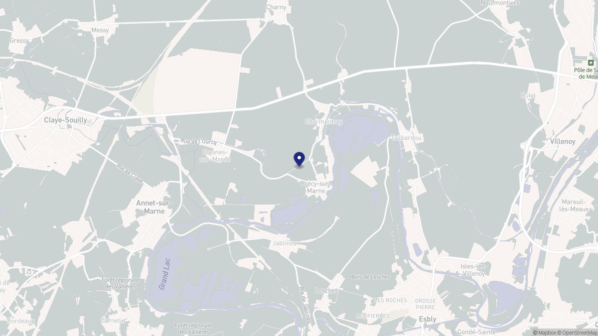 Aperçu cartographique de Précy-sur-Marne, centré sur la commune