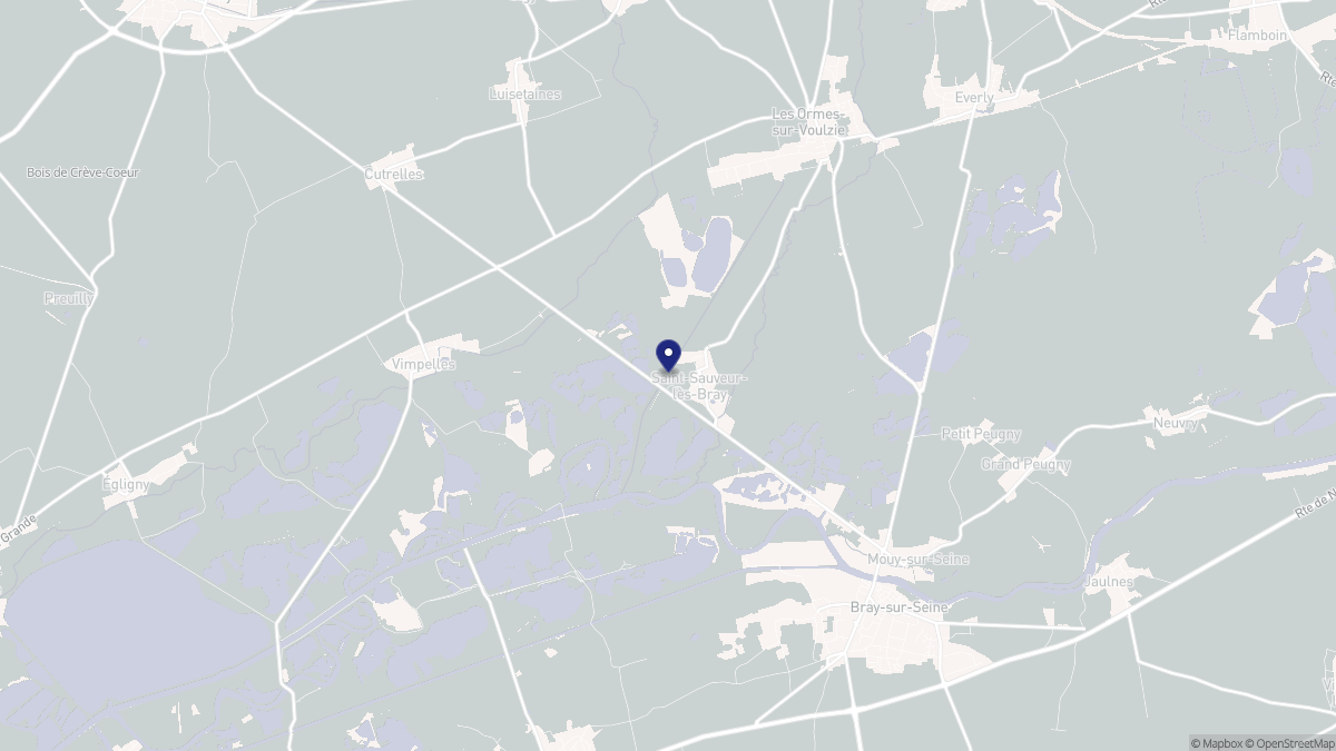 Aperçu cartographique de Saint-Sauveur-lès-Bray, centré sur la commune