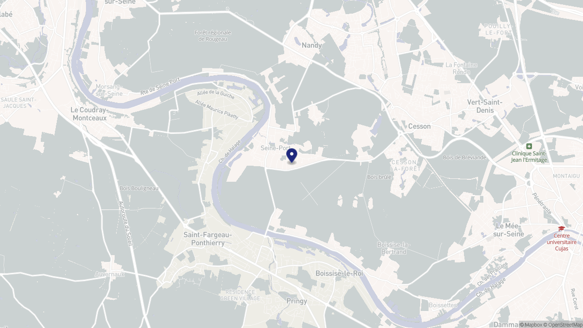Aperçu cartographique de Seine-Port, centré sur la commune