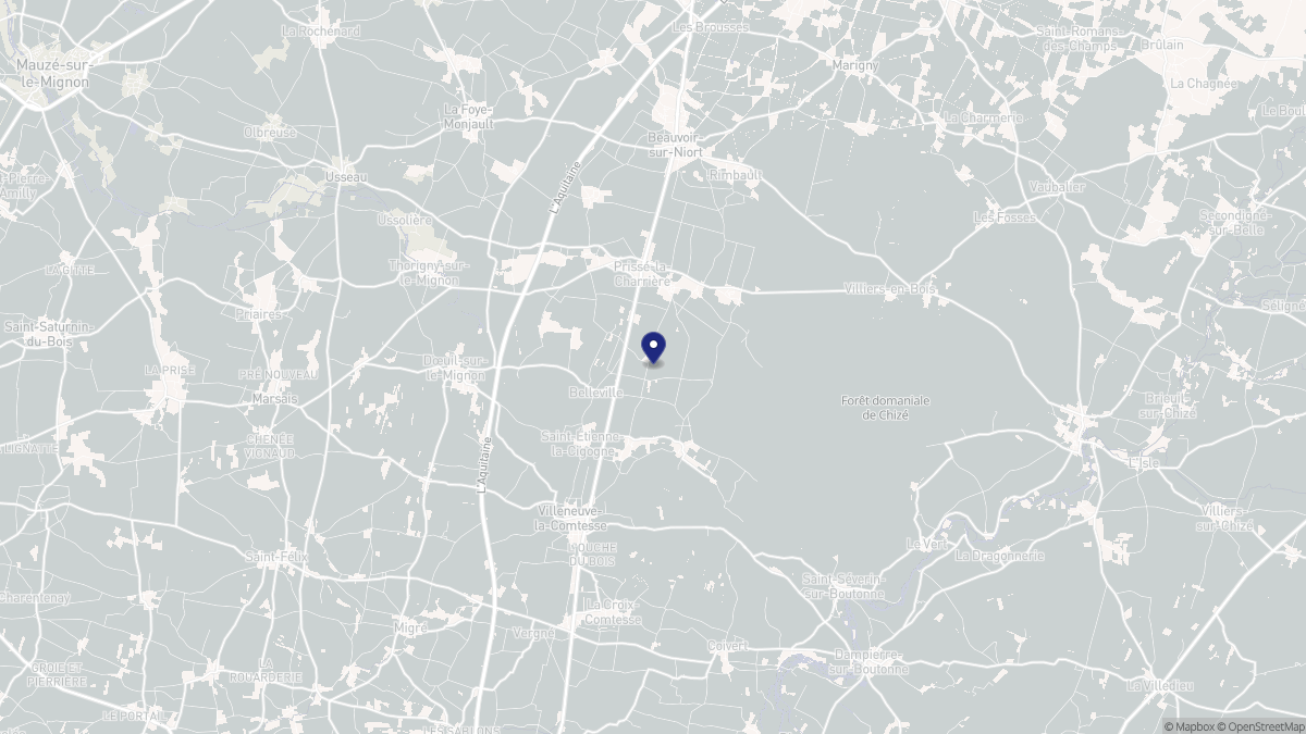 Aperçu cartographique de Plaine-d'Argenson, centré sur la commune