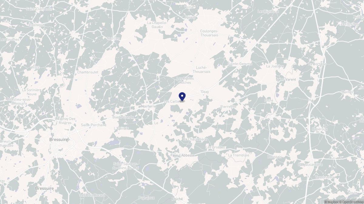 Aperçu cartographique de Geay, centré sur la commune
