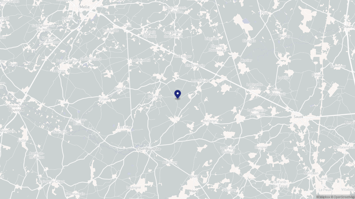 Aperçu cartographique de Alloinay, centré sur la commune