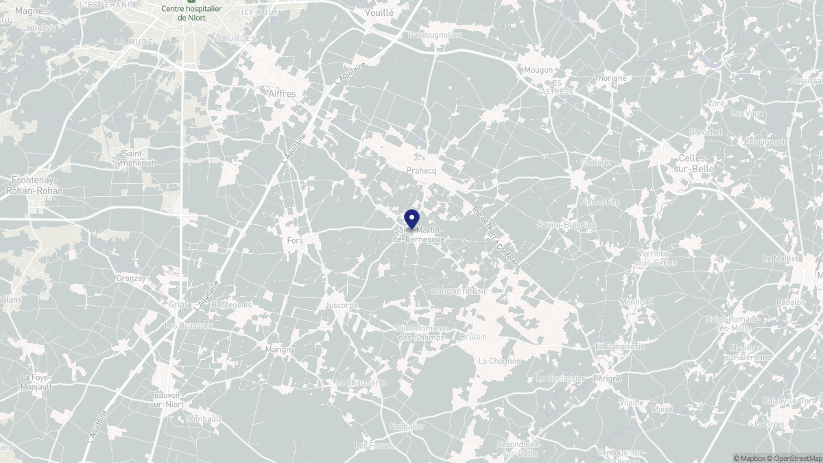 Aperçu cartographique de Saint-Martin-de-Bernegoue, centré sur la commune