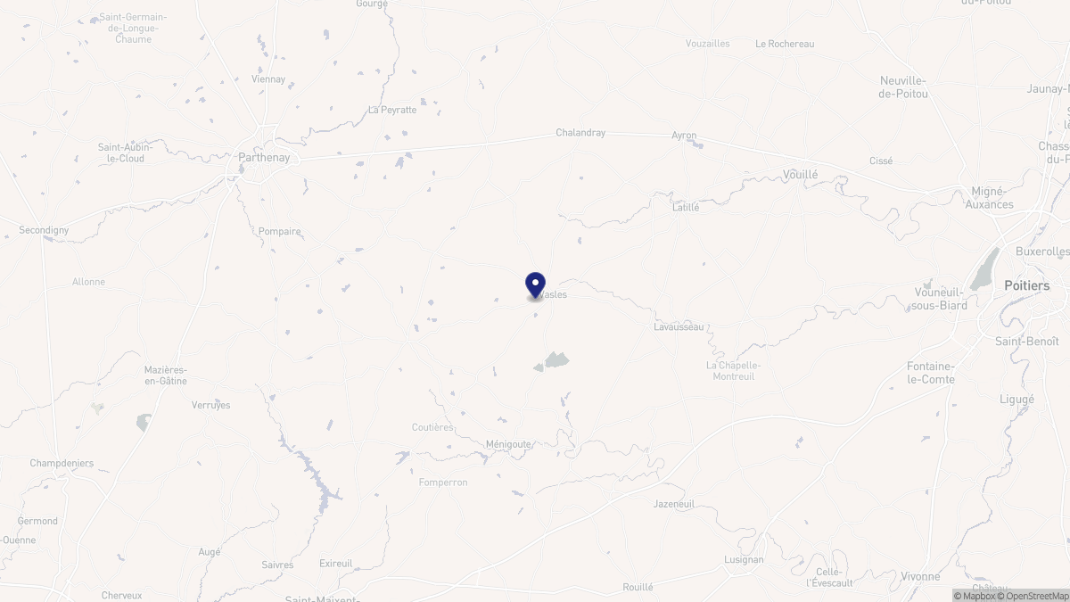 Aperçu cartographique de Vasles, centré sur la commune