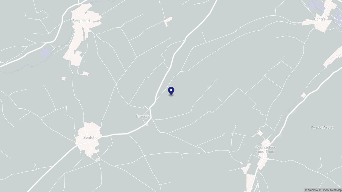 Aperçu cartographique de Brassy, centré sur la commune