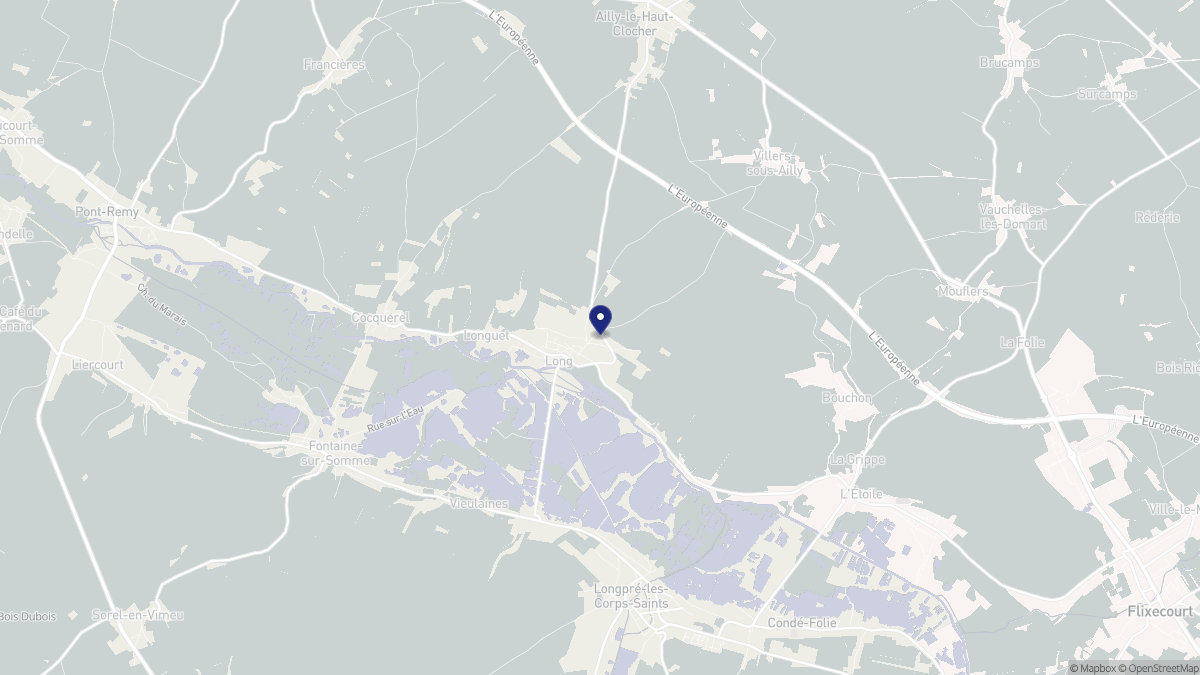 Aperçu cartographique de Long, centré sur la commune