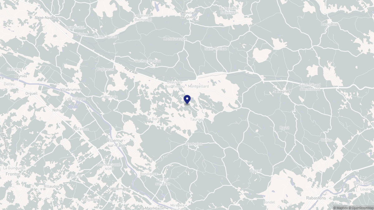 Aperçu cartographique de Beauvais-sur-Tescou, centré sur la commune