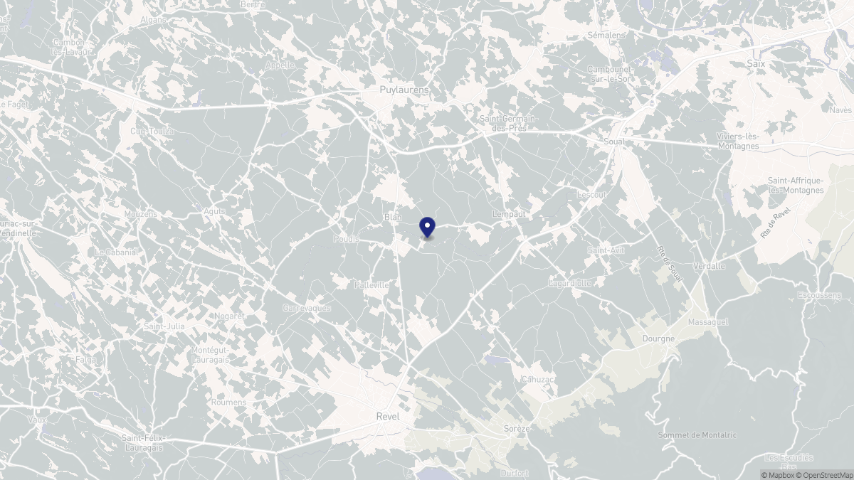 Aperçu cartographique de Blan, centré sur la commune