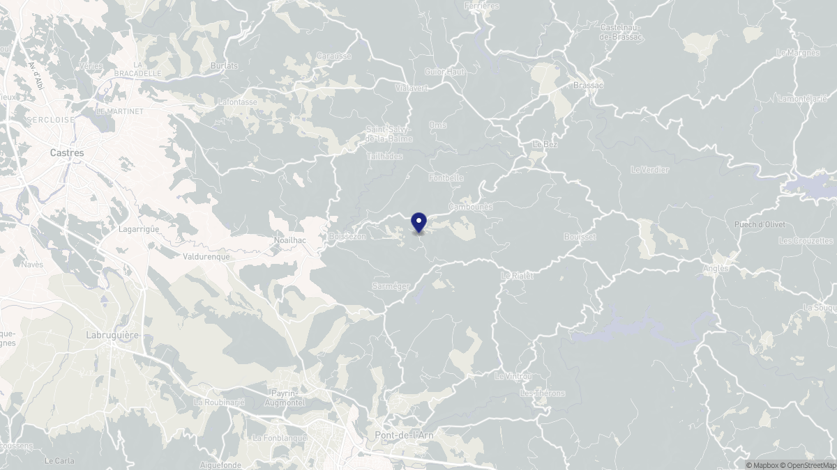 Aperçu cartographique de Boissezon, centré sur la commune