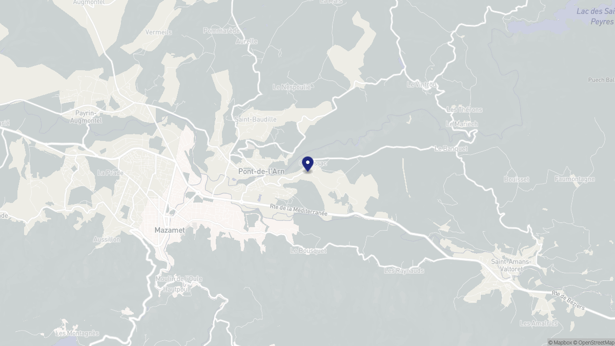 Aperçu cartographique de Bout-du-Pont-de-Larn, centré sur la commune