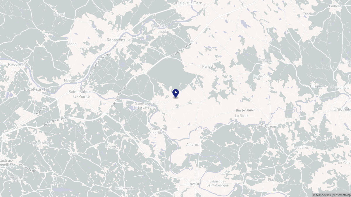 Aperçu cartographique de Giroussens, centré sur la commune