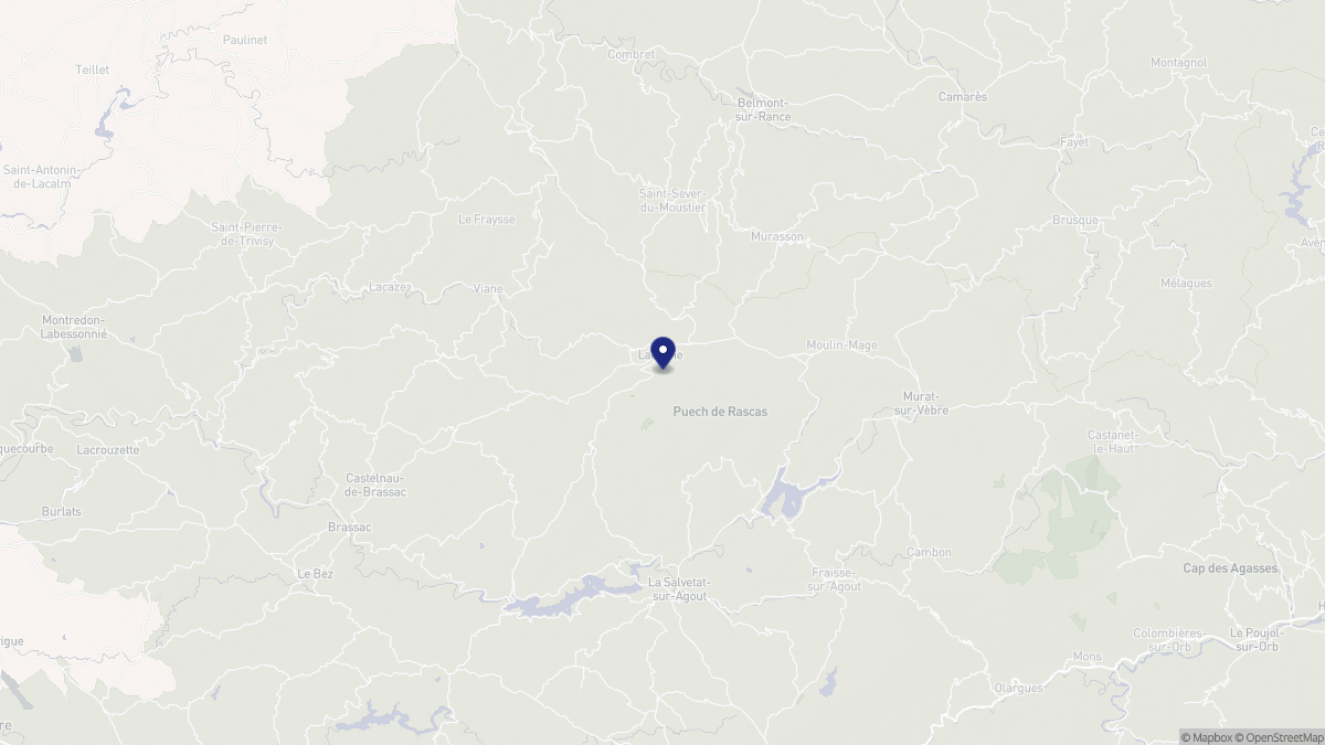 Aperçu cartographique de Lacaune, centré sur la commune